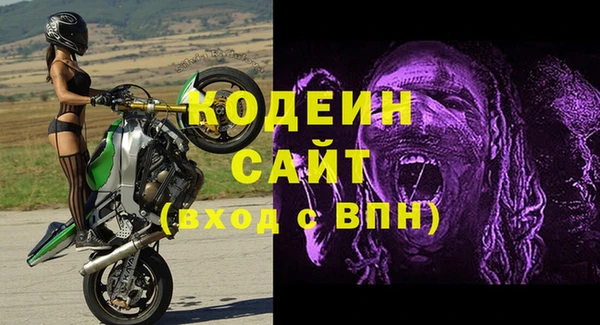 спиды Няндома