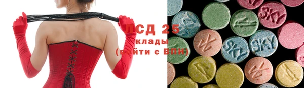 спиды Няндома