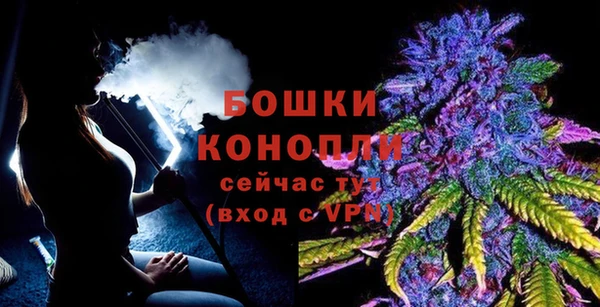 спиды Няндома