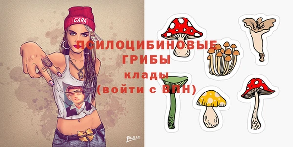спиды Няндома