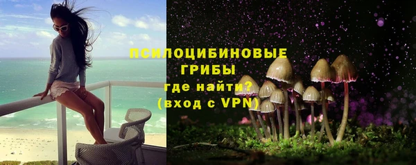 спиды Няндома