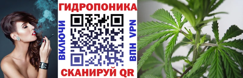 ОМГ ОМГ tor  Шарыпово  мориарти клад  Бошки марихуана SATIVA & INDICA 